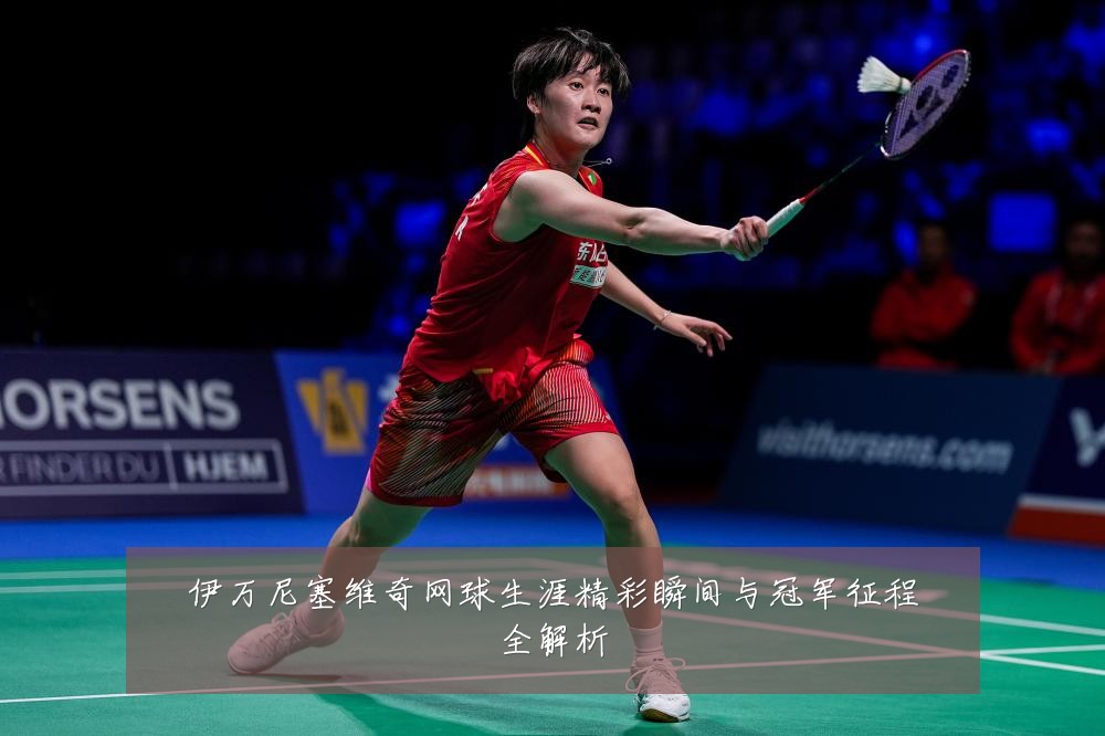 伊万尼塞维奇网球生涯精彩瞬间与冠军征程全解析