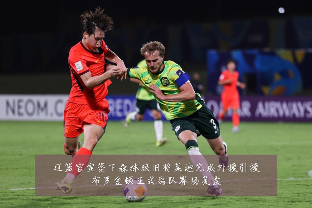 辽篮官宣签下森林狼旧将莱迪完成外援引援布罗金顿正式离队赛场复盘
