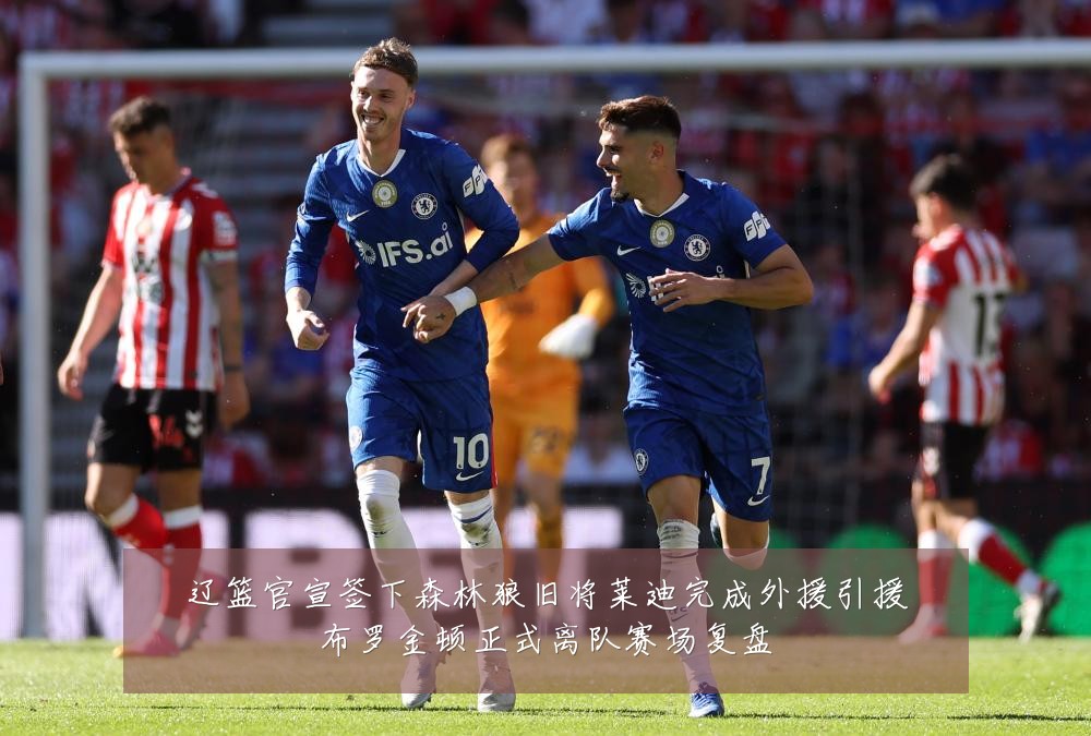 辽篮官宣签下森林狼旧将莱迪完成外援引援布罗金顿正式离队赛场复盘