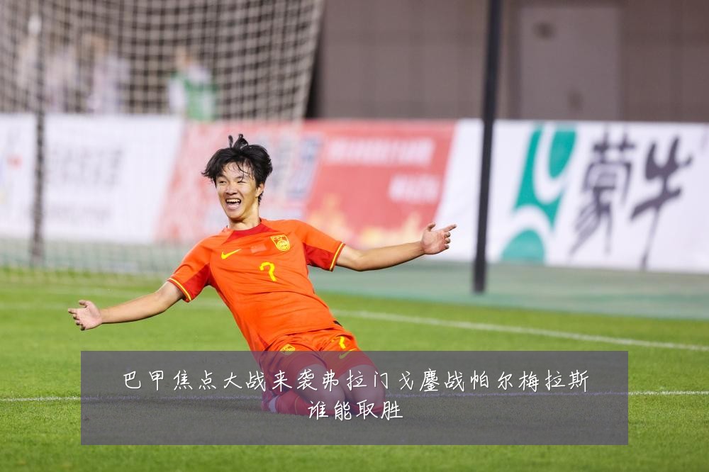 巴甲焦点大战来袭弗拉门戈鏖战帕尔梅拉斯谁能取胜
