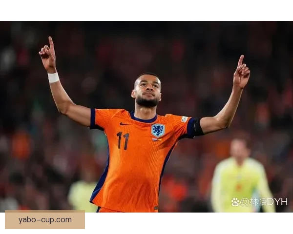 美加墨世界杯竞猜投注攻略分析助你赢取丰厚奖励